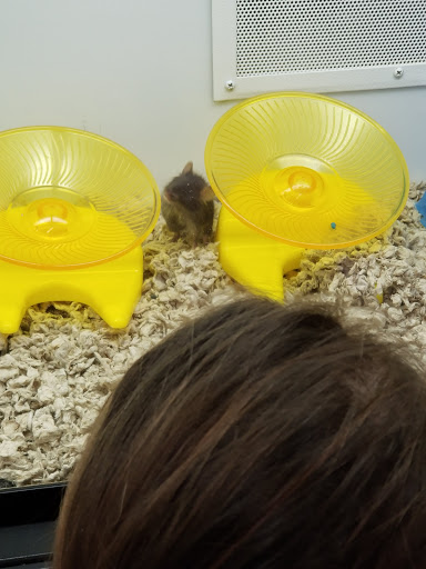 Pet Supply Store «Petco Animal Supplies», reviews and photos, 2621 MacArthur Rd, Whitehall, PA 18052, USA