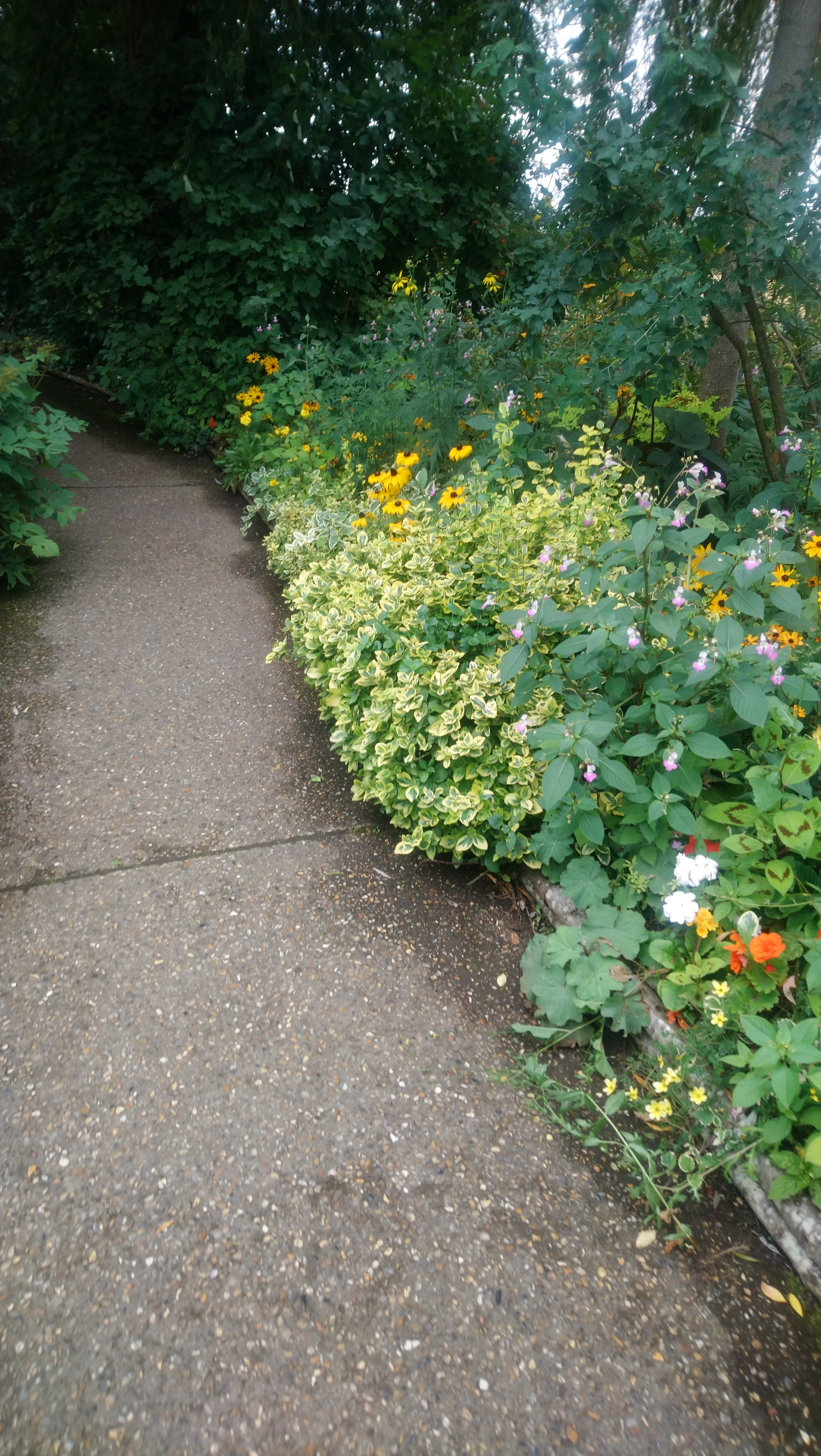 Photo n° 25 de l'avis de Angèle.K fait le 03/08/2020 à 11:24