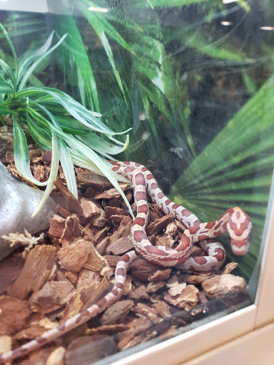 Pet Supply Store «PetSmart», reviews and photos, 6405 Grand Ave, Gurnee, IL 60031, USA