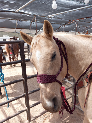 Horseback Riding Service «Spur Cross Stables», reviews and photos, 44029 N Spur Cross Rd, Cave Creek, AZ 85331, USA