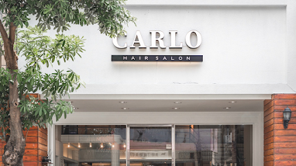 卡羅髮妝造型 CARLO HAIR SALON (北區漢口店)