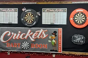 Crickets Dart Room image