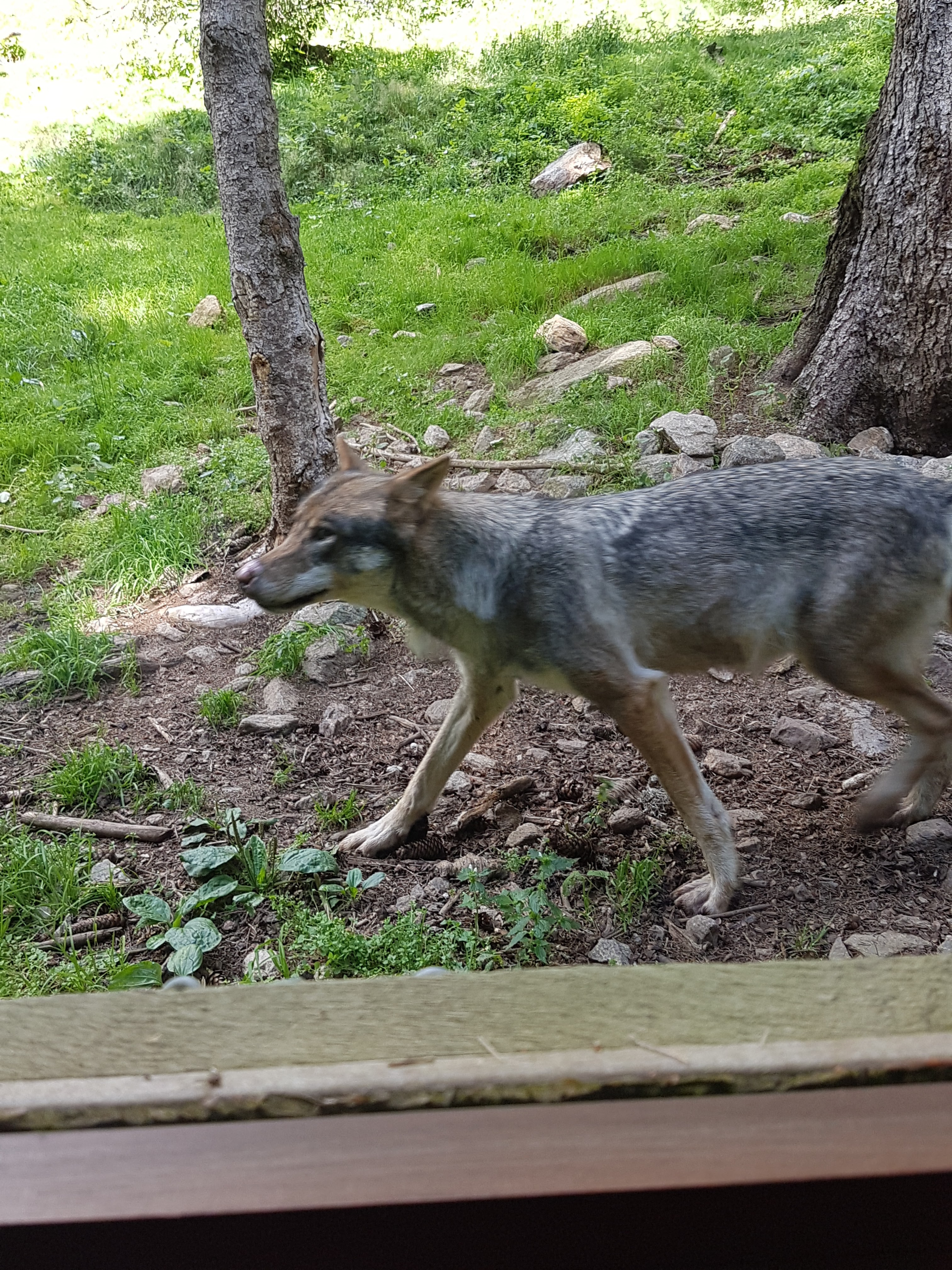 Photo n° 2 de l'avis de Ela.y fait le 18/08/2018 à 23:44