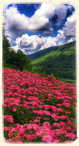 Fishing Area «Kinzua Dam», reviews and photos