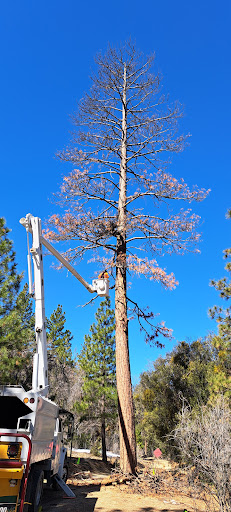 Rio Monte Trail 1E28