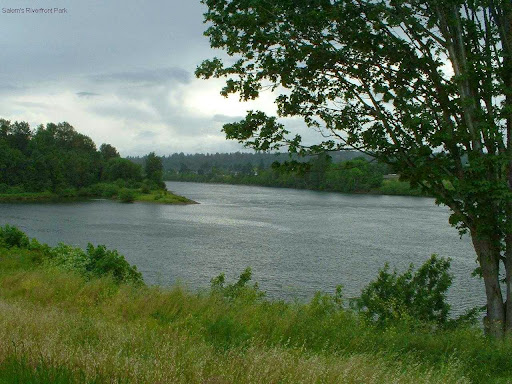 Real Estate Agency «The Salem Real Estate Group, Inc.», reviews and photos, 6444 Fairway Ave SE, Salem, OR 97306, USA