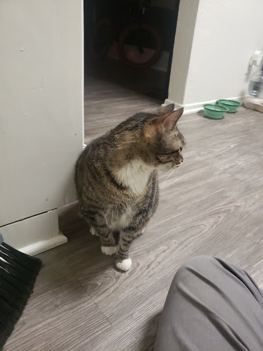 Pet Supply Store «Petco Animal Supplies», reviews and photos, 5215 Lakewood Blvd, Lakewood, CA 90712, USA