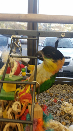 Pet Supply Store «Pet Supplies Plus», reviews and photos, 1665 VFW Pkwy, West Roxbury, MA 02132, USA