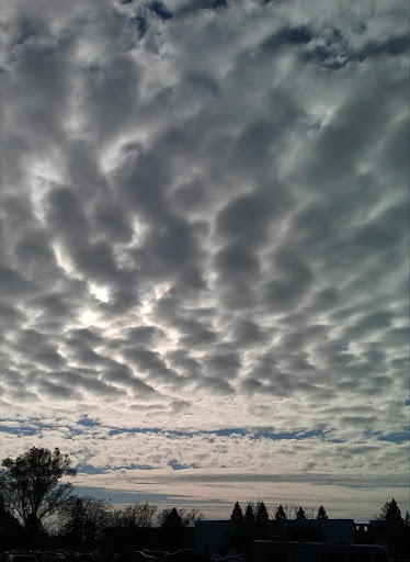 Supermarket «FoodMaxx», reviews and photos, 2055 Sebastopol Rd, Santa Rosa, CA 95407, USA