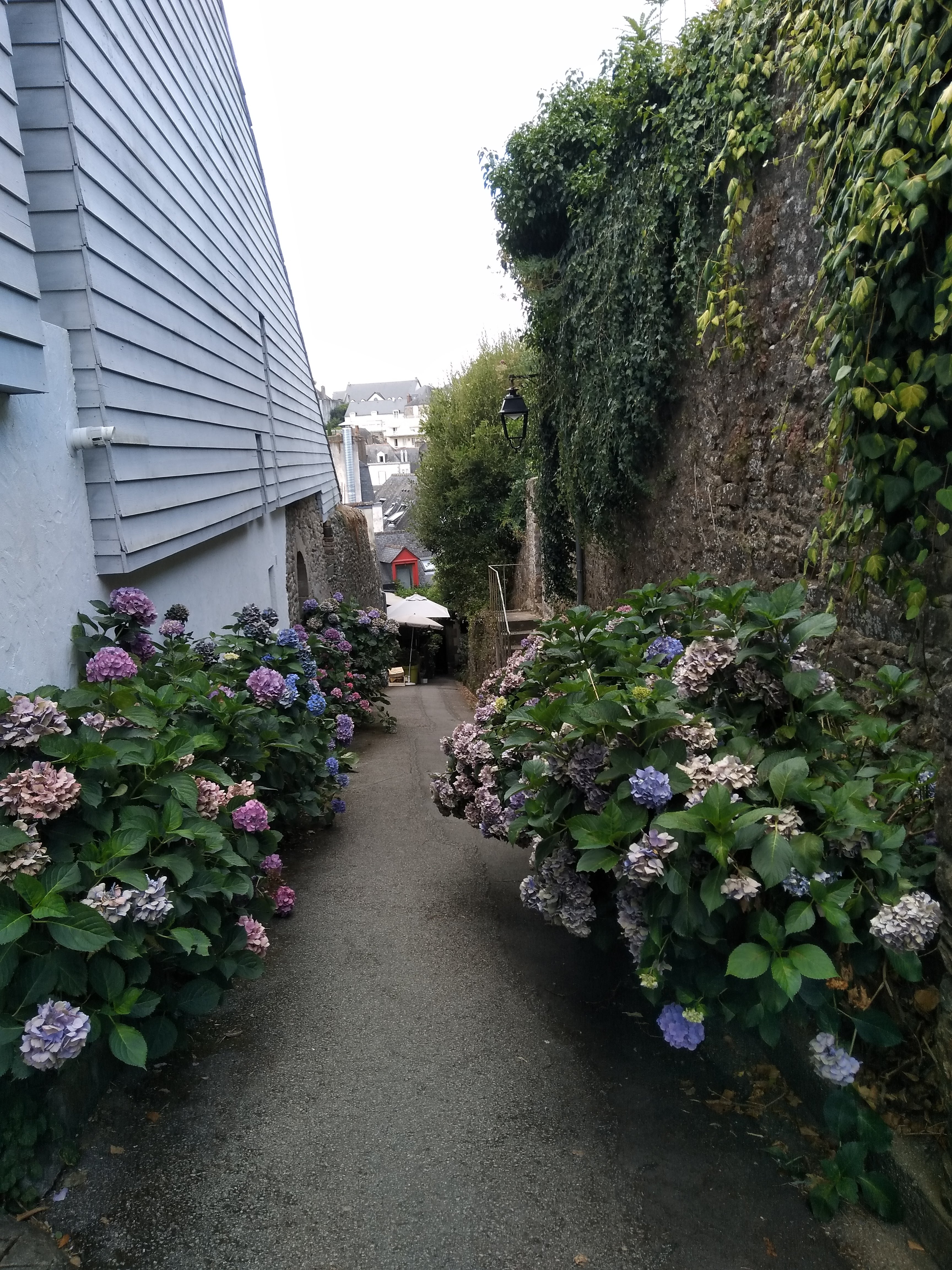 Photo n° 1 de l'avis de Franck.a fait le 25/07/2018 à 19:49