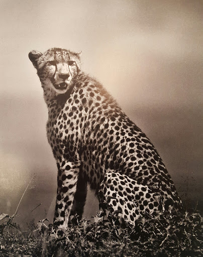 Car Wash «Hi-Tek Car Wash & Lube», reviews and photos, 2981 Coney Island Ave, Brooklyn, NY 11235, USA