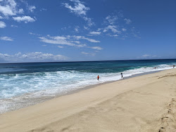 Keawaula Beach'in fotoğrafı çok temiz temizlik seviyesi ile