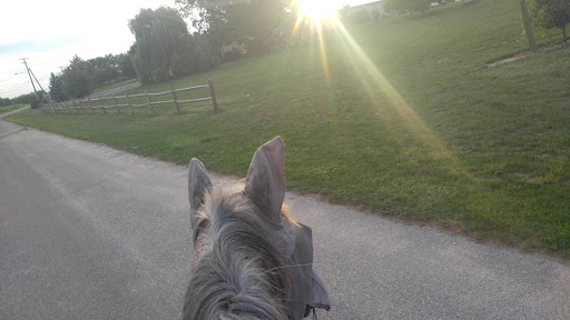 Winery «Bellview Winery», reviews and photos, 150 Atlantic St, Landisville, NJ 08326, USA