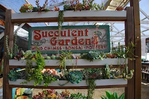 Succulent Gardens image