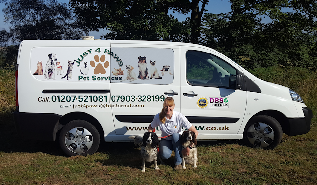 Just 4 Paws Pet Care Services