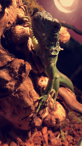 Pet Store «Pet Zone», reviews and photos, 1620 Marion-Mt Gilead Rd, Marion, OH 43302, USA