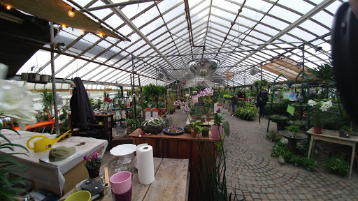 Plant Nursery «Goldner Walsh Garden and Home», reviews and photos, 559 Orchard Lake Rd, Pontiac, MI 48341, USA