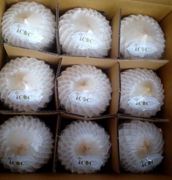 nice coconut (Thailand) co.,Ltd
