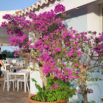 Photo n°26 de l'avis de Bartolomeo.i fait le 11/07/2023 à 11:48 sur le  Villaggio L'Oasi à Fratte I