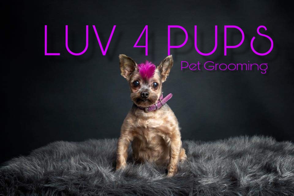 LUV 4 PUPS Pet Grooming
