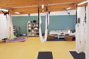 Aerial Yoga & Pilates image