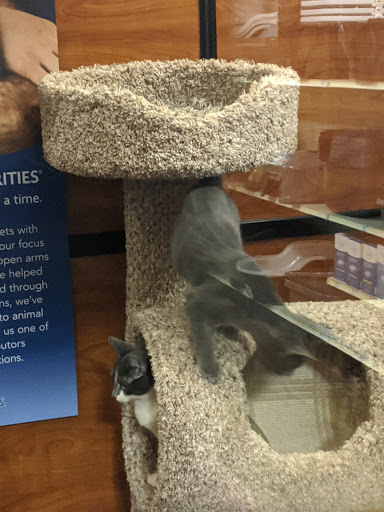 Pet Supply Store «PetSmart», reviews and photos, 745 W Huntington Dr, Monrovia, CA 91016, USA