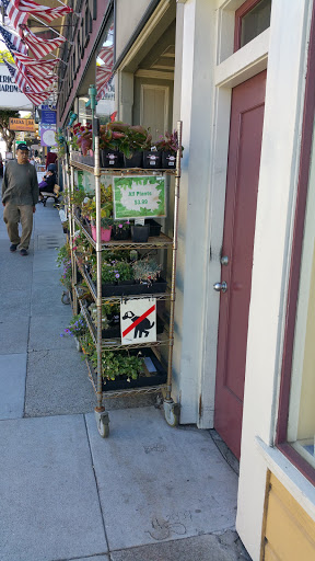 Hardware Store «Fredericksen Hardware & Paint», reviews and photos, 3029 Fillmore St, San Francisco, CA 94123, USA