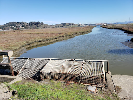 Furniture Store «Cost Plus World Market», reviews and photos, 2040 Redwood Hwy, Greenbrae, CA 94904, USA