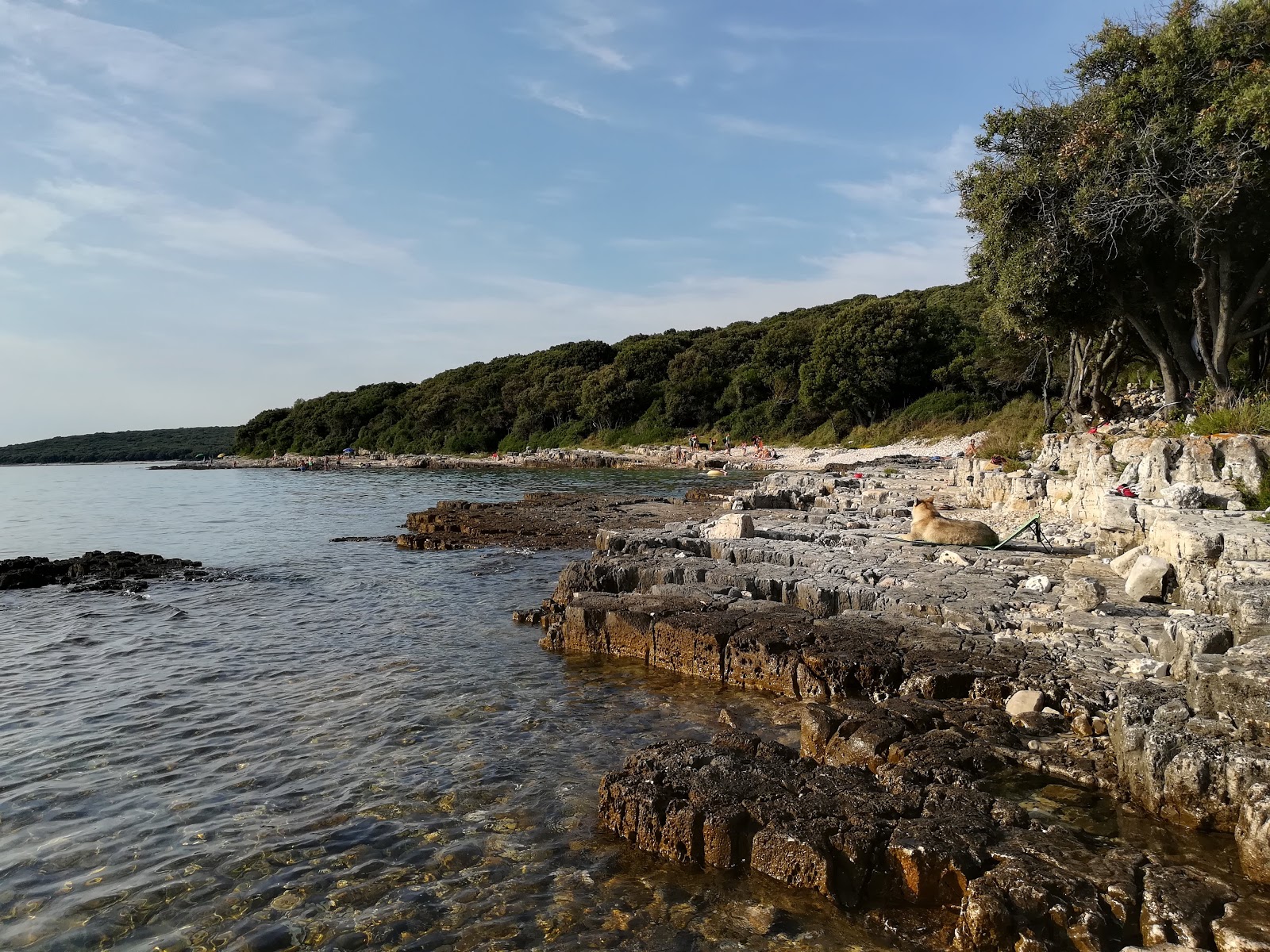 Foto de Coala beach y su hermoso paisaje