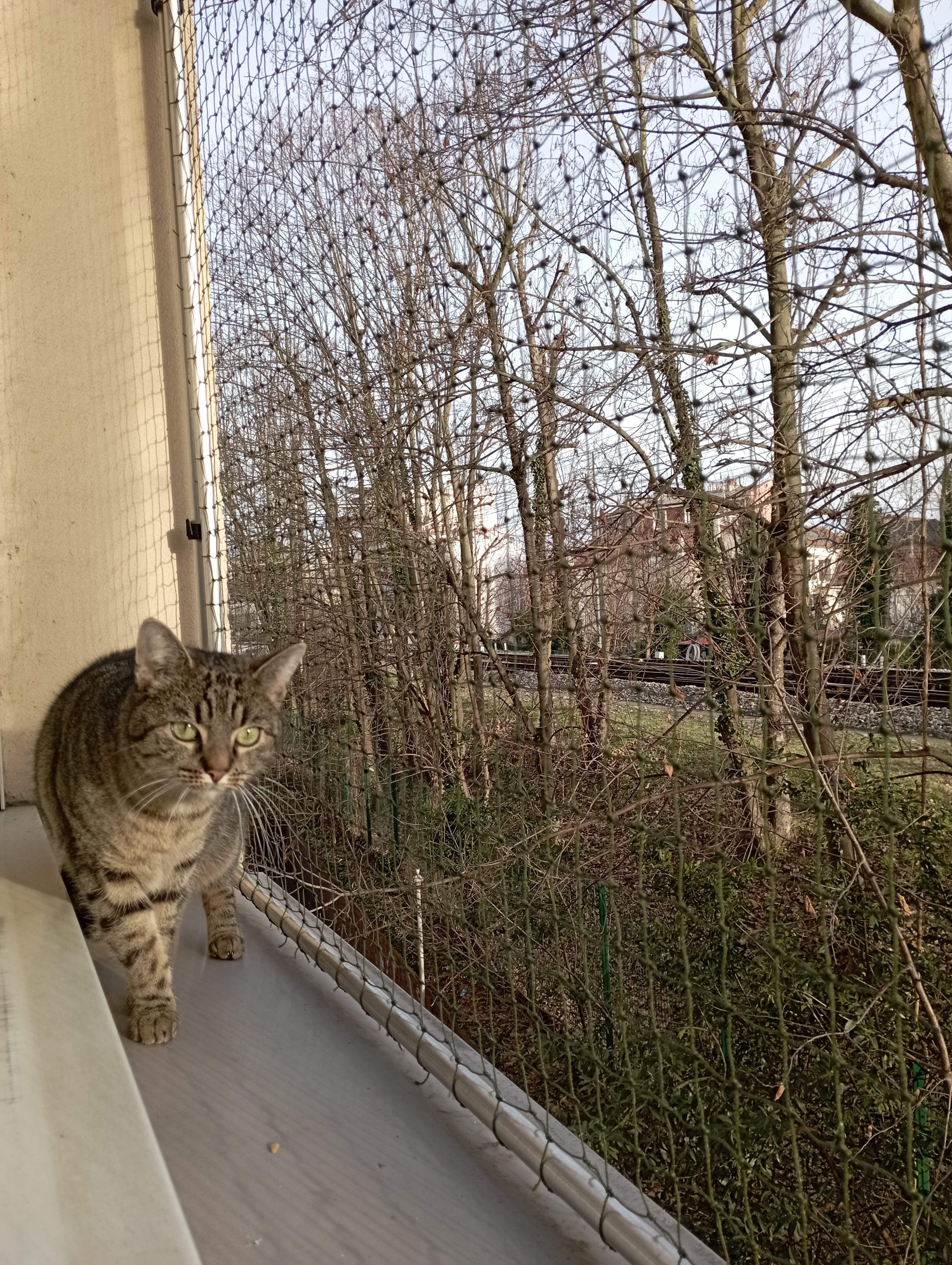 Photo n° 1 de l'avis de sophie.a fait le 29/01/2024 à 16:07