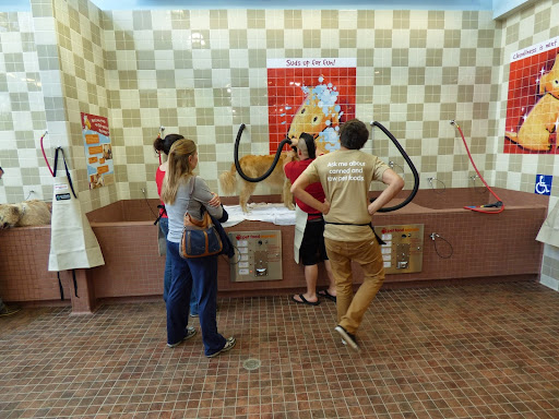 Pet Supply Store «Pet Food Express», reviews and photos, 320 S Lake Ave, Pasadena, CA 91101, USA