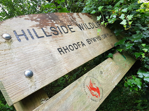 Hillside wildlife trail