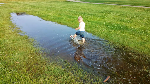 Golf Course «Riverview Highlands Golf Course», reviews and photos, 15015 Sibley Rd, Riverview, MI 48193, USA