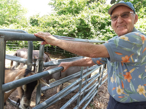 Farm «B & B Flower Farm», reviews and photos, 668 Jones Hill Rd, West Haven, CT 06516, USA