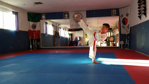 Tang Soo Do Ryun Ma, Karate