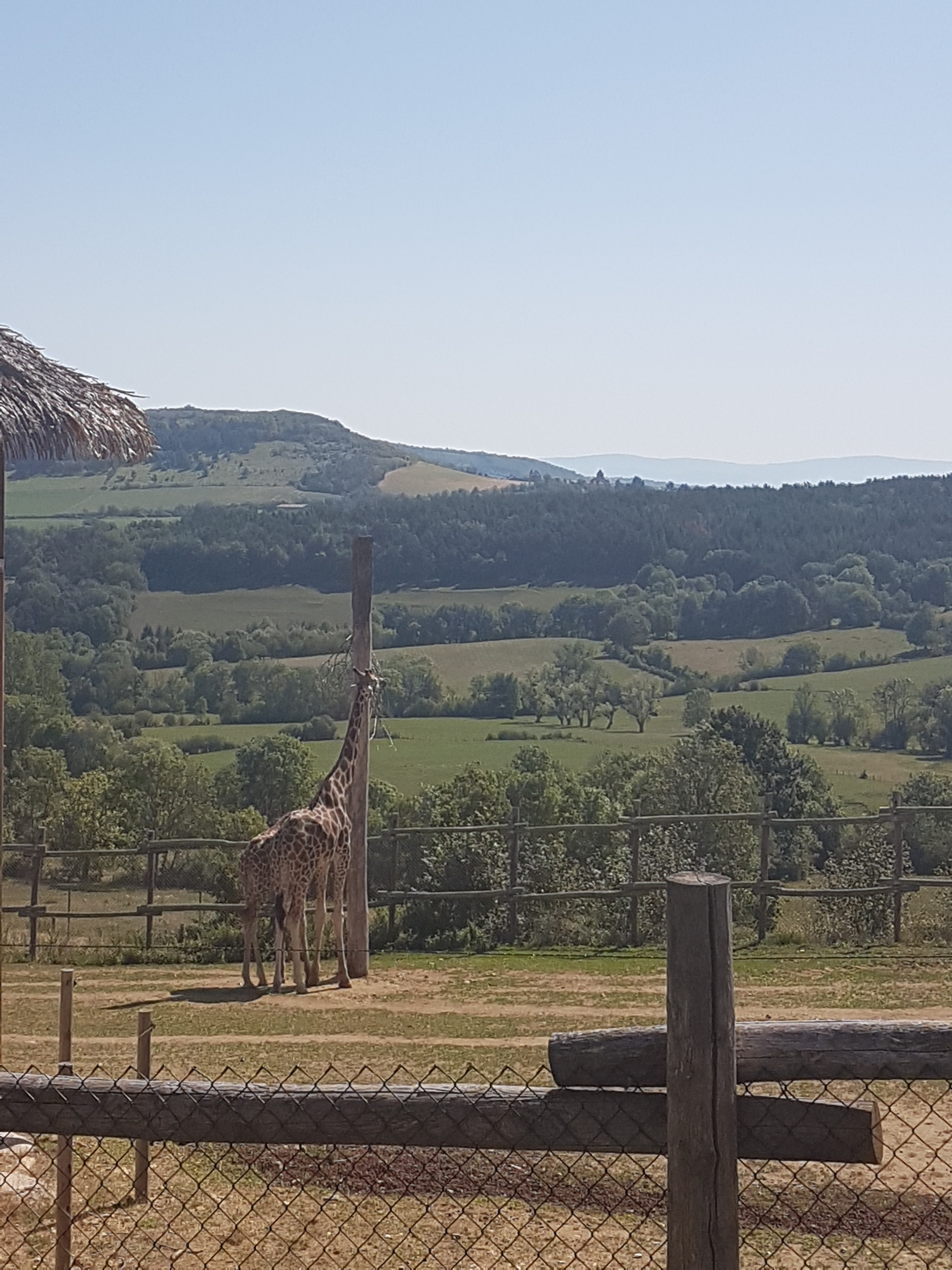 Photo n° 5 de l'avis de Myriam.o fait le 25/08/2019 à 11:46
