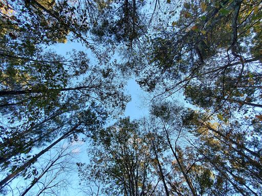 Community Center «Lake City Community Center», reviews and photos, 5471 Jonesboro Rd, Lake City, GA 30260, USA