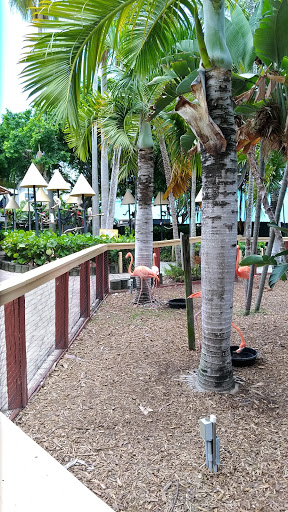 Aquarium «Miami Seaquarium», reviews and photos, 4400 Rickenbacker Causeway, Key Biscayne, FL 33149, USA