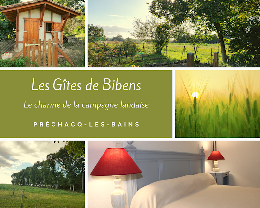 Photo Lodge Aux Gites De Bibens 40465 Préchacq-les-Bains