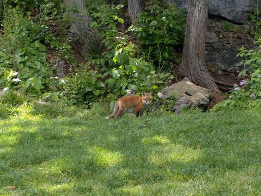 Golf Course «Caverns Country Club Resort», reviews and photos, 910 T.C. Northcott Blvd, Luray, VA 22835, USA