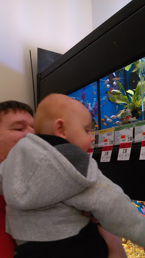 Pet Supply Store «Pet Supplies Plus», reviews and photos, 3100 Manchester Rd, Akron, OH 44319, USA