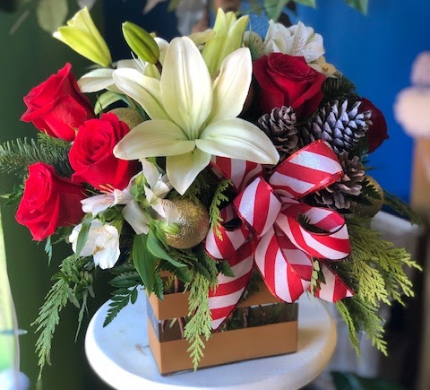 Florist «Xpressions Florist», reviews and photos, 14373 Blanco Rd, San Antonio, TX 78216, USA