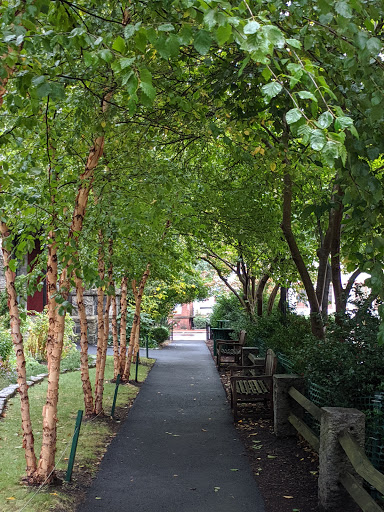 Ballet Theater «José Mateo Ballet Theatre», reviews and photos, 400 Harvard St, Cambridge, MA 02138, USA