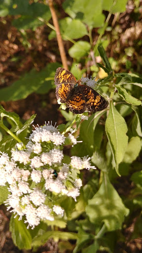Nature Preserve «Benjamin Olewine III Nature Center», reviews and photos, 100 Wildwood Way, Harrisburg, PA 17110, USA