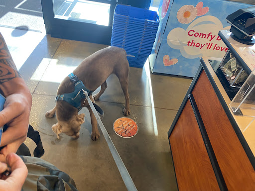 Pet Supply Store «PetSmart», reviews and photos, 24005 U.S. 27, Lake Wales, FL 33859, USA