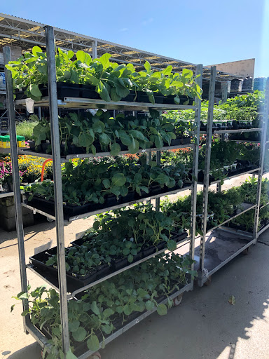 Home Improvement Store «The Home Depot», reviews and photos, 2020 Lynnhaven Pkwy, Virginia Beach, VA 23456, USA