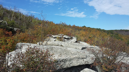 Tourist Attraction «Ice Caves», reviews and photos, Sams Point Rd, Pine Bush, NY 12566, USA