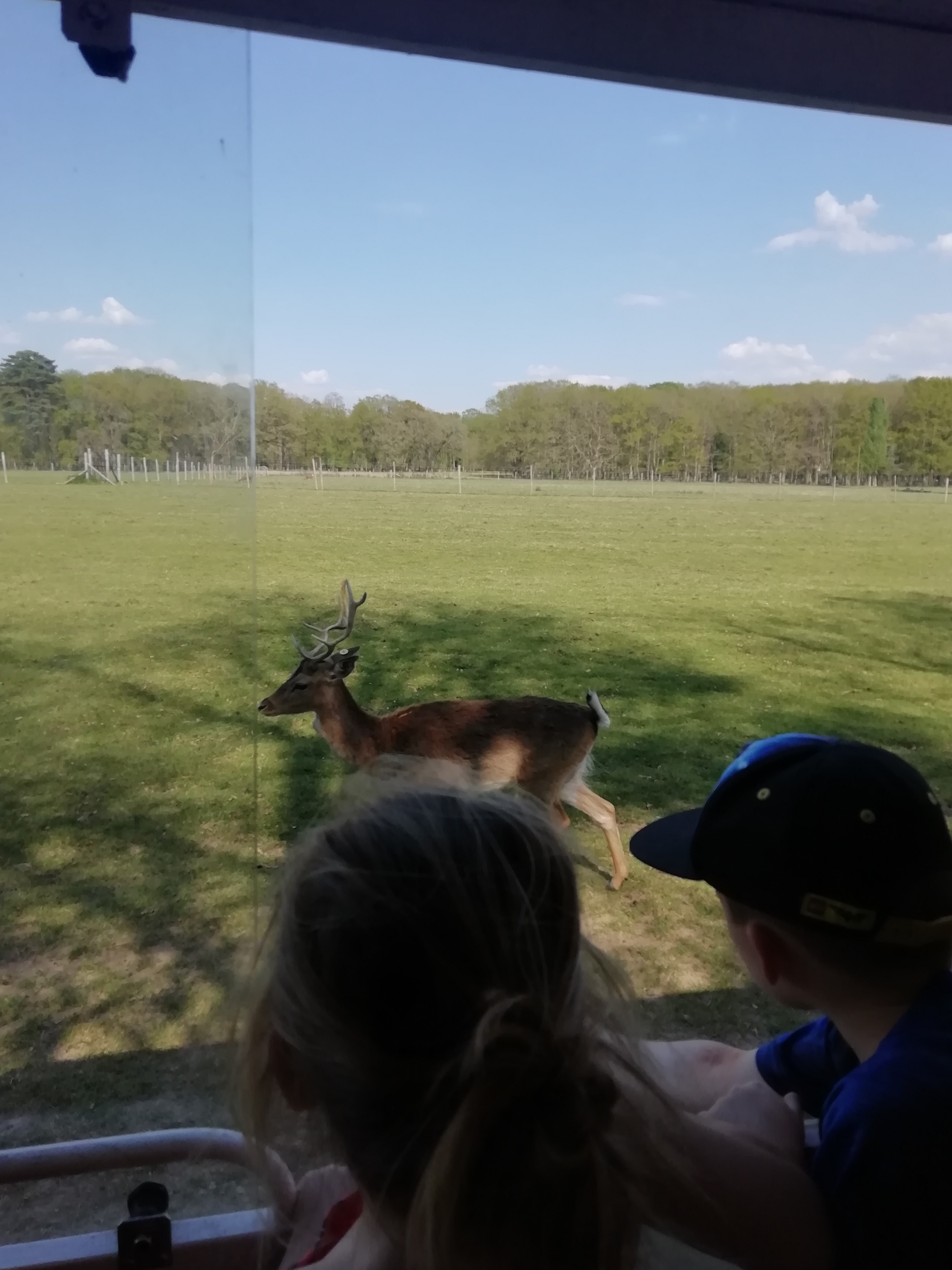 Photo n° 4 de l'avis de Flo.e fait le 07/05/2019 à 06:16