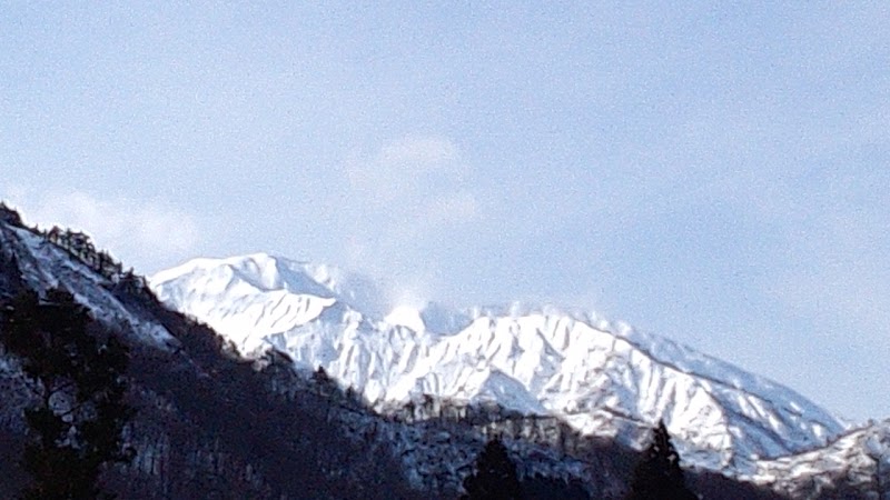 小玉川観光わらび園