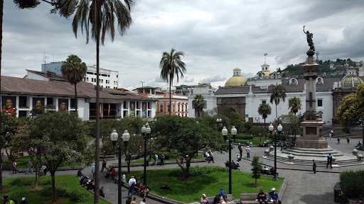 Risotherapies in Quito